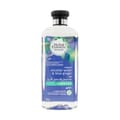 Refresh Micellar Water & Blue Ginger Shampoo 400ml