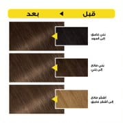 Olia, 6.0 Light brown, No Ammonia Permanent Haircowith 60% Oils