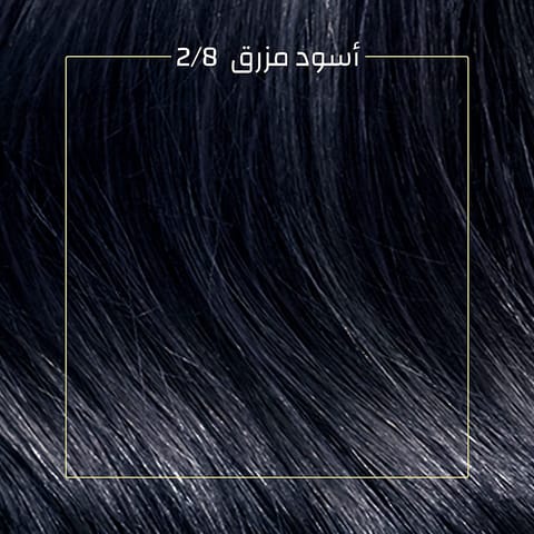 ARGAN  HAIR COLORING OIL KIT / BLACK 1.0