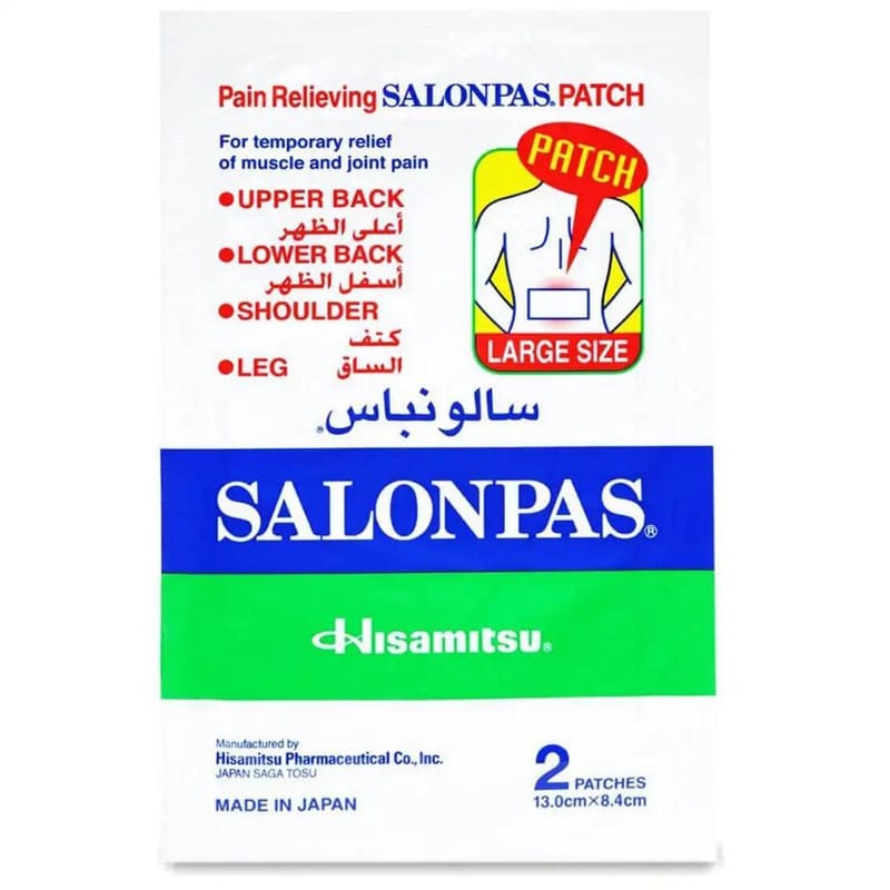 Salonpas Pain Relieving Patch Large