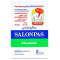 Salonpas Pain Relieving Patch Large