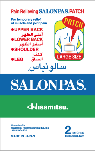 Salonpas Pain Relieving Patch Large